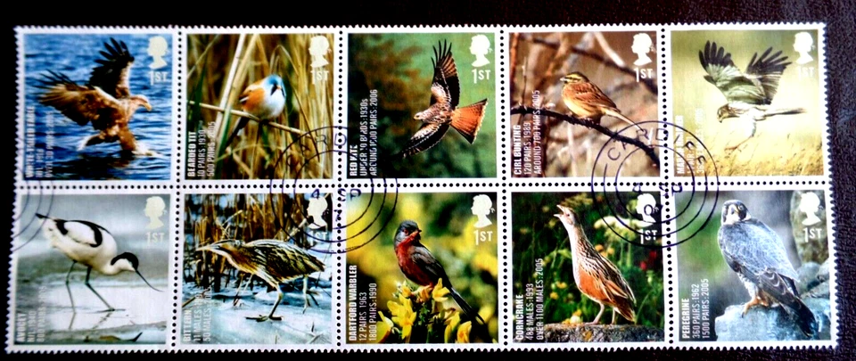 G.B. 2007 SG  2764/73 Birds 10v Fine Used - Image 1 of 1