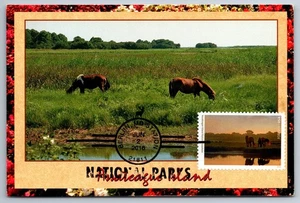 #5080F Assateague Island National Seashore FDC Maxi Card w/ National Park Cancel - Picture 1 of 2