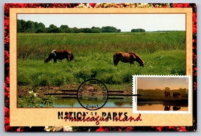 #5080F Assateague Island National Seashore FDC Maxi Card w/ National Park Cancel - Image 1 of 2