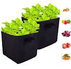 Grow-bag Heavy Thickened Nonwoven Plant Fabric Pot with Handles