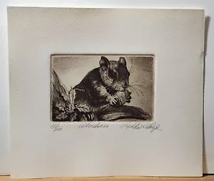 SPECIAL ART SALE! LINDA LLOYD, Original Etching, Whiskers, Signed Numbered - Picture 1 of 5