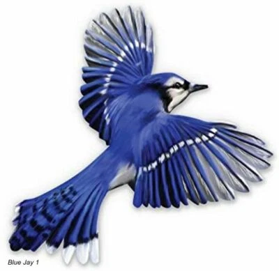 LARGE-SIZED CAR DECALS - BLUE JAY - Image 1 of 2
