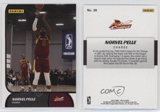 2021-22 Panini NBA G League Box Set Norvel Pelle #30