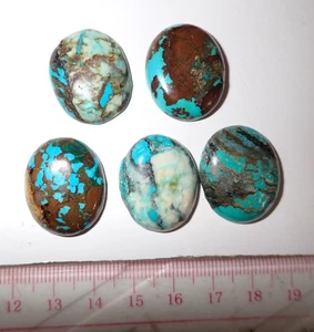 Turquoise Stone Oval 24x20 mm Flat Cabochon 111.5 Carat 5 pieces 22.3 gram - Imagen 1 de 8