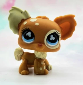 Littlest Pet Shop authentisch # 731 braun creme Chihuahua blau Kleeblatt Augen Euro - Bild 1 von 4
