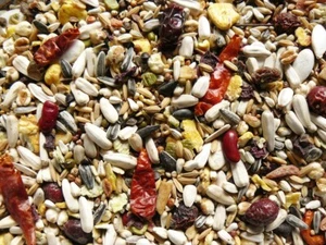 Papageienfutter PREMIUM 2,5 kg Vogelfutter Samenmischung Premiumfutter Papagei - Bild 1 von 2