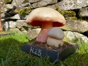 Modelo de enseñanza escolar vintage SATANS BOLETE HONGO boletus satanus taburete de sapo - Imagen 1 de 11