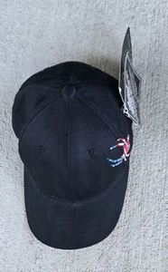 Spyder Hat USA Ski Team Patriotic RW &B Youth Kids One Size FlexFit Baseball Cap - Picture 1 of 7
