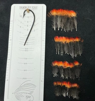 Surtido de plumas de cuervo indio especial de vacaciones Foto 1 de 4