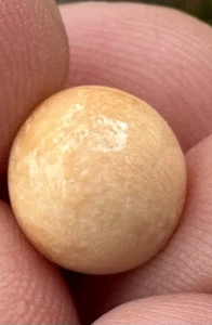 A Delightful Melo Pearl 5.22ct - Picture 1 of 20