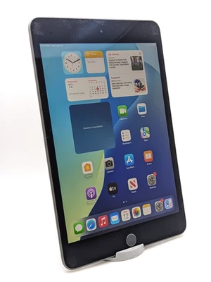 Apple iPad mini (5th Generation) A2126 64GB Poor Condition | Gray | UNLOCKED - Image 1 of 4