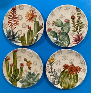 Pier 1 Imports, Dolomit 8,5" Salat Kaktus Teller, 4er Set - Sukkulenten & Kakteen - Bild 1 von 10