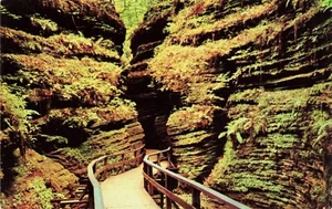 MOSS CHAMBER IN COLD WATER CANYON, WISCONSIN DELLS Vintage PC - Picture 1 of 2