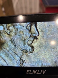 1988D RD Lincon Cent Misaligned Die, Tripple chin! Errors. - Picture 1 of 3