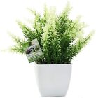 OFFIDIX Fake Plant Plastic Green Plant with Square Vase, Home Faux Plastic Plan
