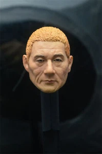 Juguetes modelo esculpido cabeza director japonés Kitano Takeshi escala 1/6 - Imagen 1 de 2