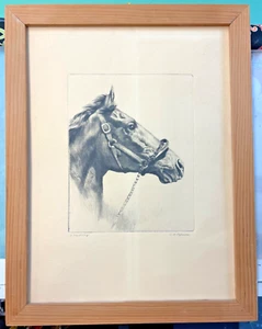 Vintage - R.H. Palenske -WHIRLAWAY - Acquaforte a punta secca originale arte cavalli - Foto 1 di 3