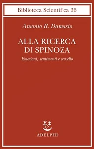Alla ricerca di Spinoza. Emozioni, sentimenti e cervello - Bild 1 von 1