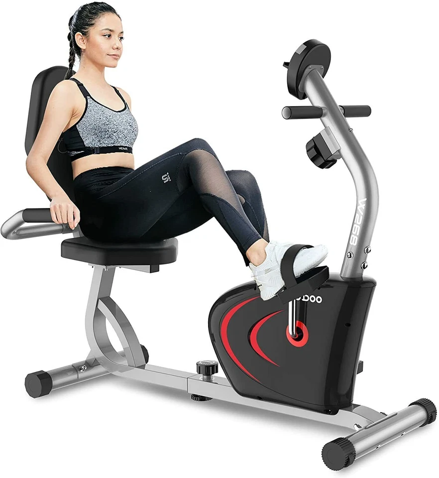 Pooboo Recumbent Indoor Cycling Workout Stationary Exercise Cardio Bike (W26803)