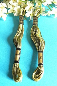 068A/ Beautiful Lot Of 2 DMC Floss Skeins No. 25 Gradient Green No. 94 - Picture 1 of 3
