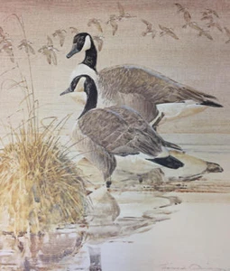 Thomas Quinn - Detail from More and Less Canada Geese - Signed Ltd Litho - MINT - Picture 1 of 1