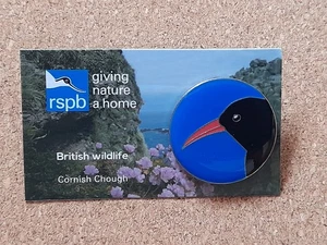 RSPB CORNISH CHOUGH Roundel SPECIAL GNAH Charity Pin Badge - Picture 1 of 2