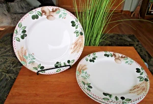 Fitz & Floyd Habitat Americana ALFRESCO 10 5/8” Dinner Plates Set Of 3 VGC - Picture 1 of 3
