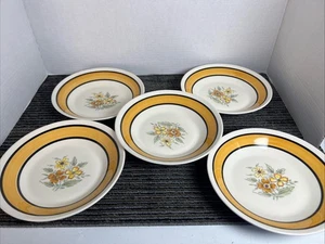 Zuppiere Grand Bahama Japan 4907 sottovetro 5 vintage dipinte a mano stone ware - Foto 1 di 13