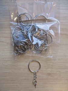 30x Ring Schlüsselanhänger Sets Schlüsselring mit Öse Schraube DIY Zubehör Schmuckherstellung - Bild 1 von 1