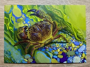 Ukraine 2024 Postcard "EUROPA. Underwater Fauna and Flora. Eriphia verrucosa" - Picture 1 of 2