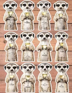Party Meerkat Die Cut Vinyl Stickers Set Scrapbooking Laptop Water Bottle - Picture 1 of 1