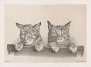 9464. Cartel de decoración. Interior de habitación. Diseño de pared arte. Dibujo victoriano. Gatos mascotas - Imagen 1 de 1