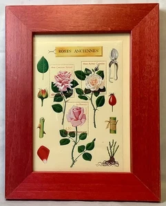 Foglio francobolli francesi con cornice vintage 1999 "Roses Anciennes" - Foto 1 di 3