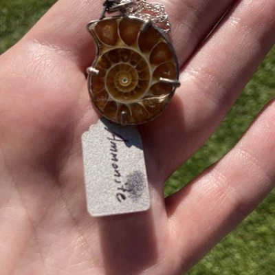 Collar Colgante Piedra Fósil Amonita Tono Plata Nuevo Con Etiquetas Foto 1 de 4