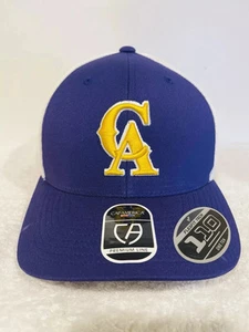 rare Cap America Purple California Hat Snap Back CA trucker hat one size - Picture 1 of 8