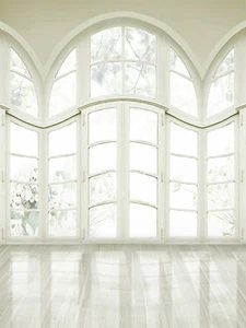 Fondo fotográfico de fondo de vinilo delgado para estudio de boda 10x10 ft 6443 - Imagen 1 de 1