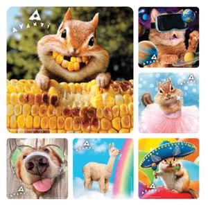 Animal Stickers x 6 - Birthday Party Supplies Favours Loot Teacher Avanti Reward - Picture 1 of 1