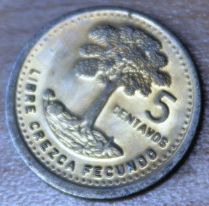 1989 Guatemala 5 Centavos Kapok Tree Unc. - Picture 1 of 2