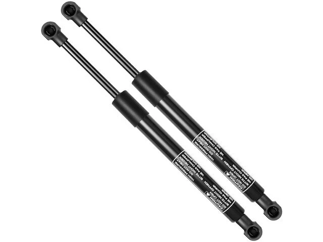 Juego de puntales de puerta trasera para Land Rover Range Rover 2003-2012 2006 2008 2011 TG946HN Foto 1 de 1