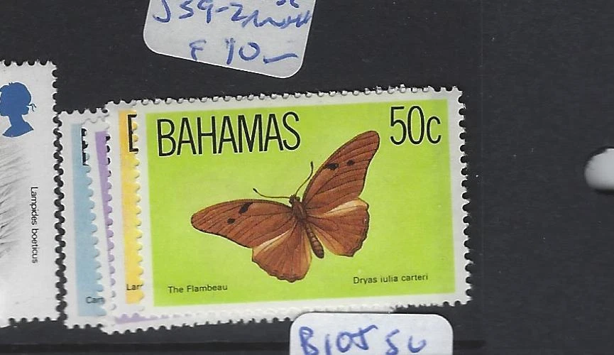 巴哈马蝴蝶 SC 539-42 全新无标签 (8gvc) — 第 1/1 张图片