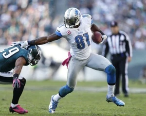Detroit Lions Calvin Johnson 8x10 Photo NFL Football Print #6 - Picture 1 of 1