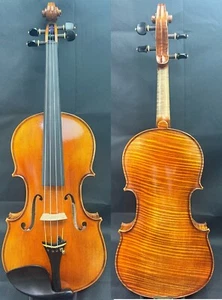 Traje Violín Capriana Gagliano Modelo 4/4 VN601 Año 2022 62G6CH0025 - Imagen 1 de 24