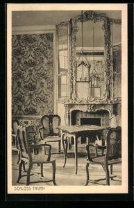 Heroldsbach, Schlosss Thurn, Innenansicht Kaminzimmer, Ansichtskarte - Bild 1 von 2