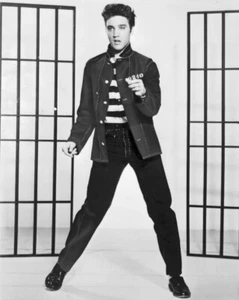 Neues Foto: Rock'n'Roll Musik Sänger Elvis Presley im Jailhouse Rock - 6 Größen! - Bild 1 von 7
