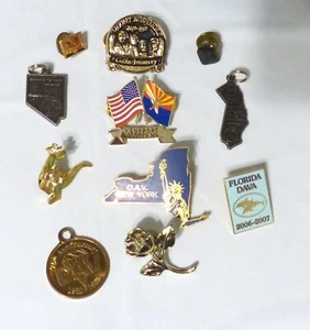 DAV & DAVA Convention Pins, lot of 11 NATIONAL Conventions and more - Picture 1 of 16