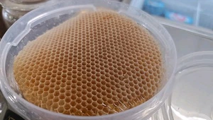 900gm of Sidr Honey Honeycomb, Original Yemeni Beeswax Honey شهد العسل شمع العسل - Picture 1 of 2