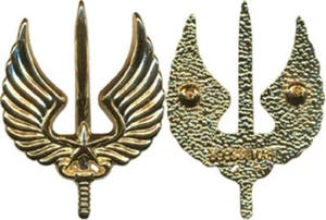 Brevet d’Aéromobilité, (1° Régiment d’Infanterie) doré, type GS 156, (9449) - Imagen 1 de 1
