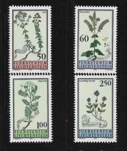 LIECHTENSTEIN. Año: 1993. Tema: FLORES DEL JARDIN BOTANICO DE LIECHTENSTEIN. - Imagen 1 de 1