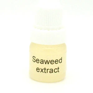 Seaweed Extract - anti-ageing, skin firming, rehydrating serum DIY cosmetics - Bild 1 von 1