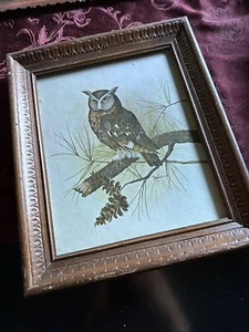 Vintage Rustic Owl Framed 12” x 10” Art Print by E. Rambow with Signature - Picture 1 of 5